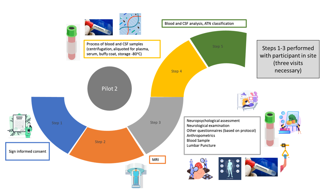 different steps for the data collection process. pilot 2