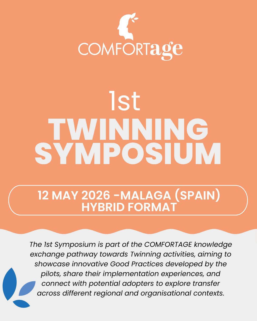 COMFORTAGE Twinning Symposium – Málaga